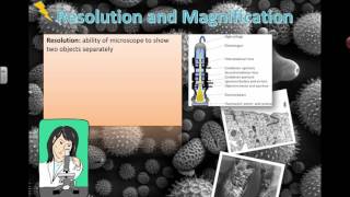 Microscope Resolution and Magnification IB Biology [upl. by Nickles84]