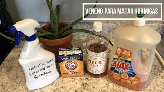 Veneno Poderoso Para Exterminar Las Hormigas Con Sólo 3 Ingredientes [upl. by Otina]