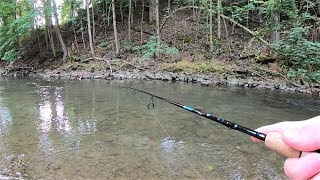 TROUT Fishing TIPS  Trout Fishing with Spinners in Creeks amp Streams [upl. by Marwin]