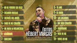 Hebert Vargas  Grandes Éxitos vallenato Romantico [upl. by Pharaoh]