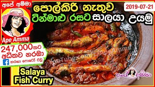 ✔පොල්කිරි නැතුව ටින්මාළු වගේ සාලයෝ උයමු Salaya fish curry by Apé Amma [upl. by Annala]