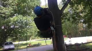 Ronin Lift battery powered ascender being used in tree work [upl. by Hugibert]