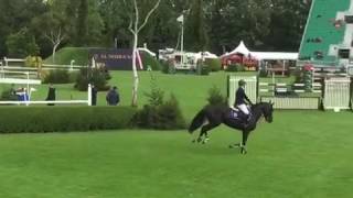 Jaguar VD Berghoeve 2nd at The Royal International Hickstead [upl. by Sibyl298]