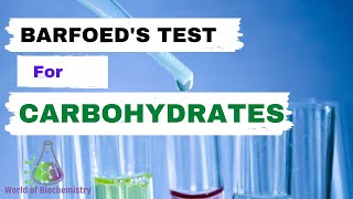 Barfoeds Test  General test for carbohydrates identification [upl. by Juana74]