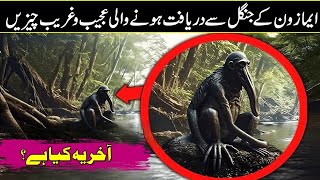 Top 8 Unusual Things That Was Found From The Amazon Rainforest In Urdu Hindi [upl. by Beltran]