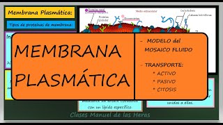 LA MEMBRANA PLASMÁTICA Estructura y Transporte Mosaico Fluido LA CÉLULA Los ORGÁNULOS CELULARES [upl. by Tiphanie]