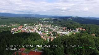 Unterwegs in der Ferienregion Nationalpark Bayerischer Wald Spiegelau [upl. by Norad]