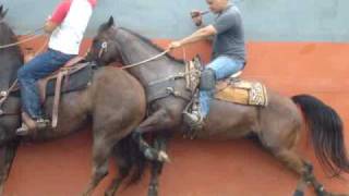 CHAPEANDO CON GEORGE TAPIA 13 [upl. by Camel]