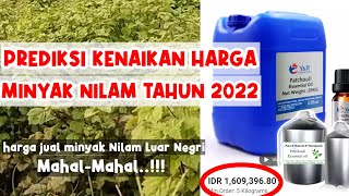 PREDIKSI KENAIKAN HARGA MINYAK NILAM TAHUN 2022EKSPOR MINYAK NILAM [upl. by Jecho]