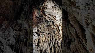 Stalactites and Stalagmites cave underground shorts [upl. by Petras]