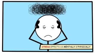 Effects of Stress [upl. by Thane]