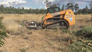 Digga Rotary Axe  Ground Shark clearing larger regrowth [upl. by Tabb]