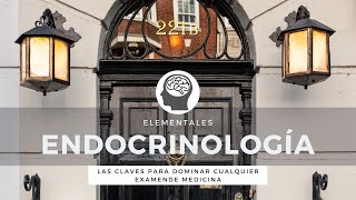 Endocrinologia  Elementales  ENARM [upl. by Gipson127]