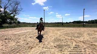 Show 3 2024 class 38 WJ adult Ranchmanship  pattern Shannon grant Mel [upl. by Fabrianne]