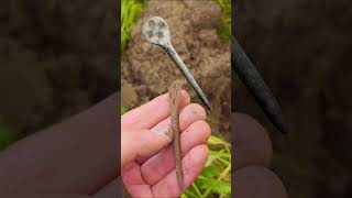 Viking and medieval artifacts found with metal detector metaldetecting history Finland [upl. by Neraj]