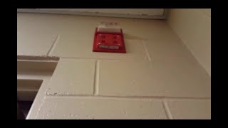 Fire Alarm Test  26 [upl. by Shannan354]