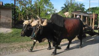 LUIS CARBONELL BALADA DEL GUAJIRO CUBANO [upl. by Aihseuqal]