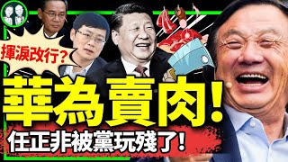 北京公務員借錢發工資！管清友：基層財政崩潰！華為任正非被逼無奈賣牛肉！（老北京茶館第1178集20240616） [upl. by Ramedlav]