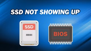 How to Fix SSD Not Showing up in BIOS ｜7 Ways [upl. by Xet]