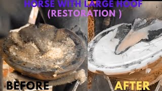 Shire Horse Complete restoration Shire Horse Restoration Compilation shirehorse huge massivehoof [upl. by Azrim]