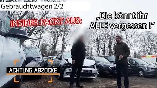 Autohändler WARNT vor seinen Kollegen 😱 quotNICHT KORREKT quot l 22 l Achtung Abzocke  Kabel Eins [upl. by Artsa172]