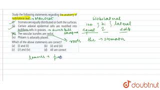 Study the following statements regarding the anatomy of isobilateral leaf i Stomata are equal [upl. by Ahsiak147]