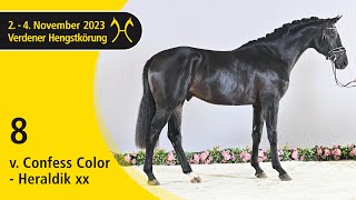 Verden Stallion Licensing 2023  Dressage  Nov 24  No 8 Stallion by Confess Color  Heraldik xx [upl. by Hugh]