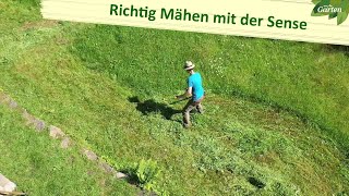 Sanftes Mähen mit der Sense  MDR Garten  MDR [upl. by Adaner704]