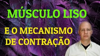 Músculo liso Mecanismo de contração [upl. by Cenac]