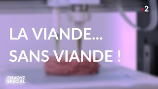 Envoyé spécial La viande sans viande  Jeudi 19 mars 2020 France 2 [upl. by Areyk]