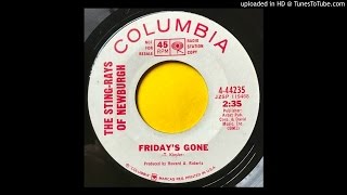 The Stingrays of Newburgh Fridays Gone Upstate NY Garage Psych [upl. by Hocker573]