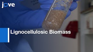 Lignocellulosic Biomass Pretreatment with Ionic Liquids  Protocol Preview [upl. by Anu432]