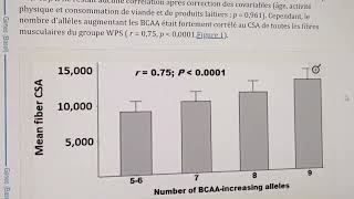 Pour certains répondent mieux à lanabolisme des BCAA que dautres [upl. by Englis]