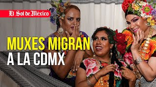 Muxes migran a la CDMX en busca de una mejor vida [upl. by Alraep445]