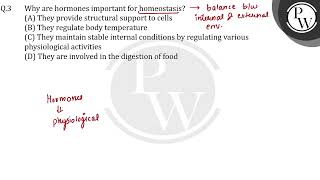 Why are hormones important for homeostasis [upl. by Aluino203]