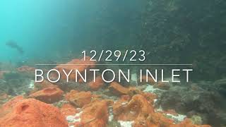 Boynton Inlet Underwater Camera Tropical Fish Paradise [upl. by Efinnej]