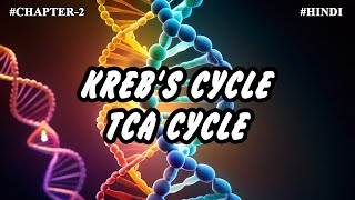 Chapter 2  Metabolism Of Carbohydrates Part3  Krebs cycle TCA cycle [upl. by End]