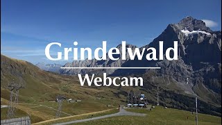 Webcam Grindelwald First  Abenteuerliche Bergkulisse [upl. by Adila]