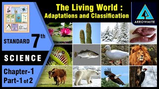 The Living World  Adaptations amp Classification  Std 7  Science  Chapter 1  Part 12 [upl. by Hui855]