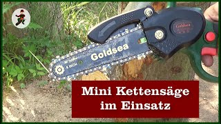 Mini Kettensäge im Test  Goldsea [upl. by Mishaan]