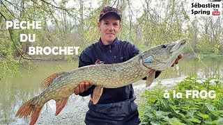 Pêcher le BROCHET à la FROG pour louverture  Cest possible [upl. by Ynots]