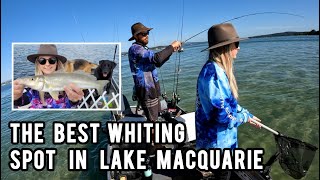 Lake Macquaries best fishing spot  Lets Fish Lake Mac Comp  Tinny  Whiting  Flathead  Bream [upl. by Isidor]