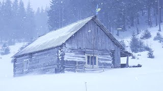 hiding in an abandoned log cabin during a snowstorm [upl. by Eilyab877]