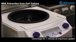 RNA Extraction from Cell Culture [upl. by Llenehc]