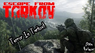 Terror in Tarkov escapefromtarkov [upl. by Yekcim632]