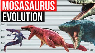 Mosasaurus Evolution 1970  2022  Jurassic Evolution Jurassic World Dominion [upl. by Ciredor]