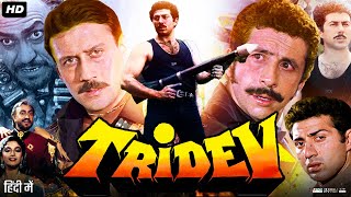 Tridev Full Movie Story amp Review  Sunny Deol  Madhuri Dixit  Jackie Shroff  Naseeruddin  Facts [upl. by Lounge]