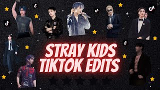 SKZ TIKTOK EDITS THAT WILL MAKE YOU A PROUD STAY 50 MIN EDITION 10K SPECIAL [upl. by Lyall]