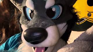 ASMR Shasta soothes you after a nightmare Petting nuzzles feetpaws calm speaking kisses [upl. by Cia]