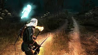 Witcher Summon the Lubberkin where the Botchling is buried  Family Matters 3 Wild Hunt [upl. by Nerradal33]